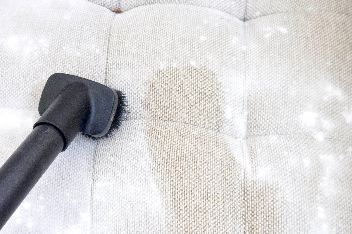 Чем отмыть диван от плесени